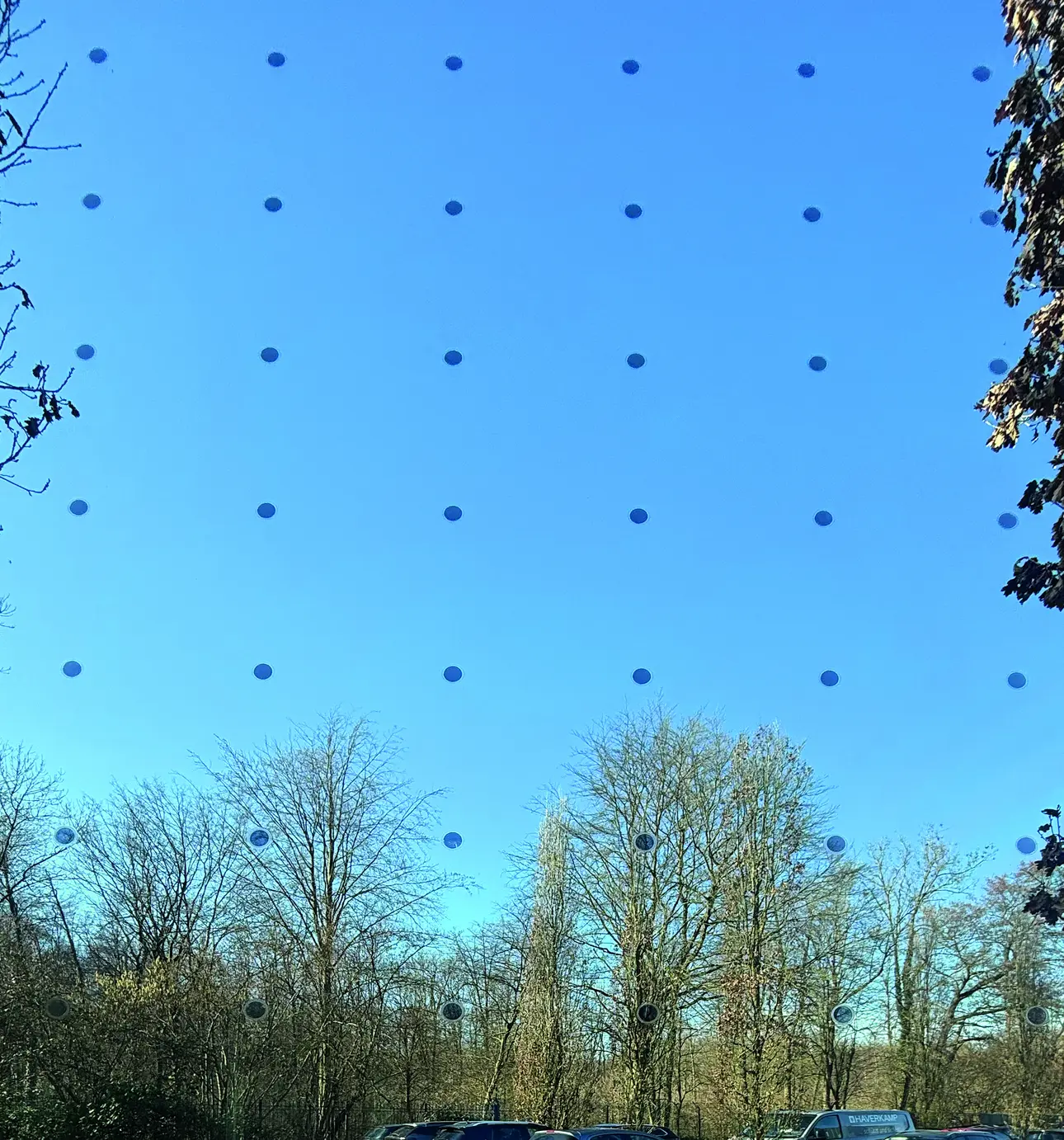 Vogelschutzfolie an einer Fensterscheibe